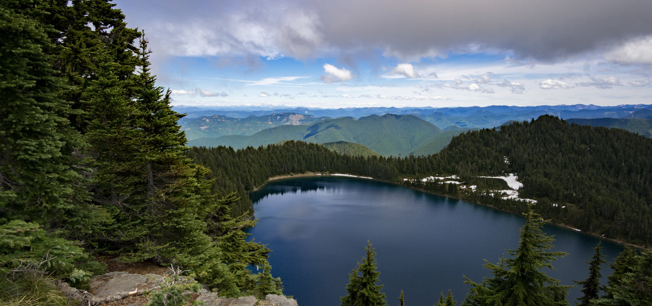 What to expect in the year of The National Park Centennial. Can you say “Crowds?”