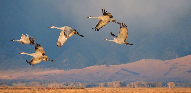 Exploring Colorado’s San Luis Valley - a hidden gem